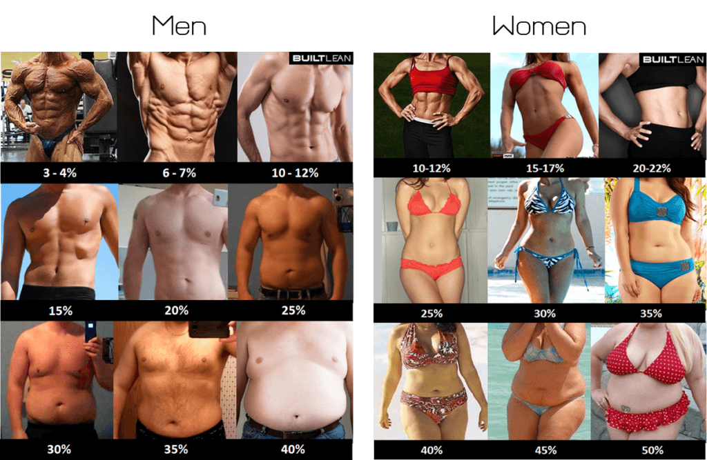 Collage representing different body fat percentages